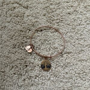Alex and Ani tree of life bracelet